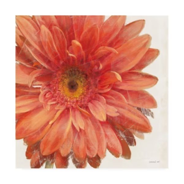 Danhui Nai 'Vivid Daisy' Canvas Art, 35x35, Trademark Fine Art, Mfr#: WAP10777-C3535GG